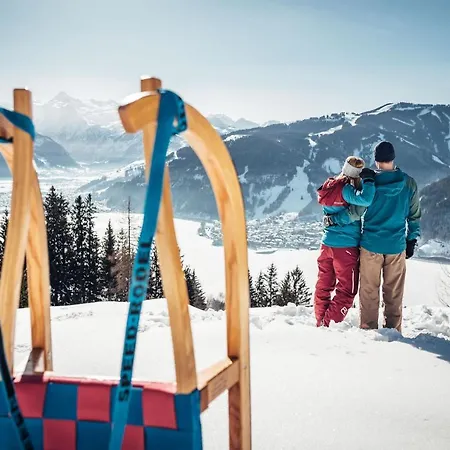 Max Panorama By We Rent *