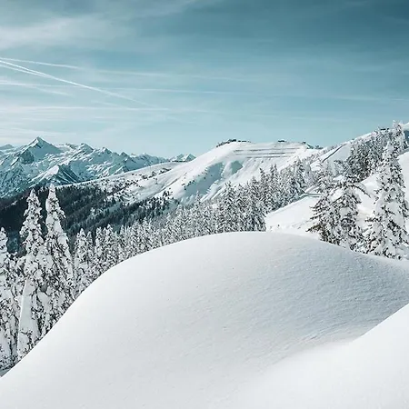 Max Panorama Zell am See