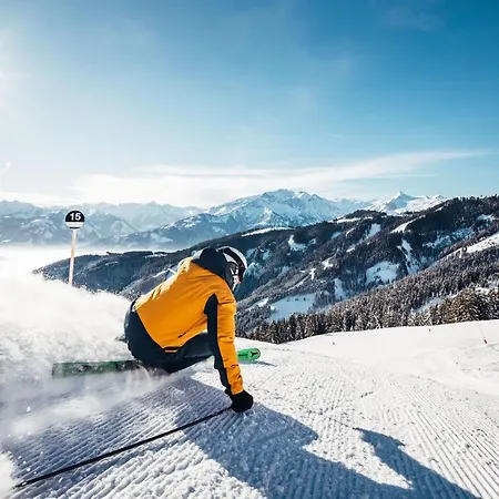 Max Panorama Chalet *