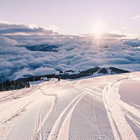 Max Panorama By We Rent