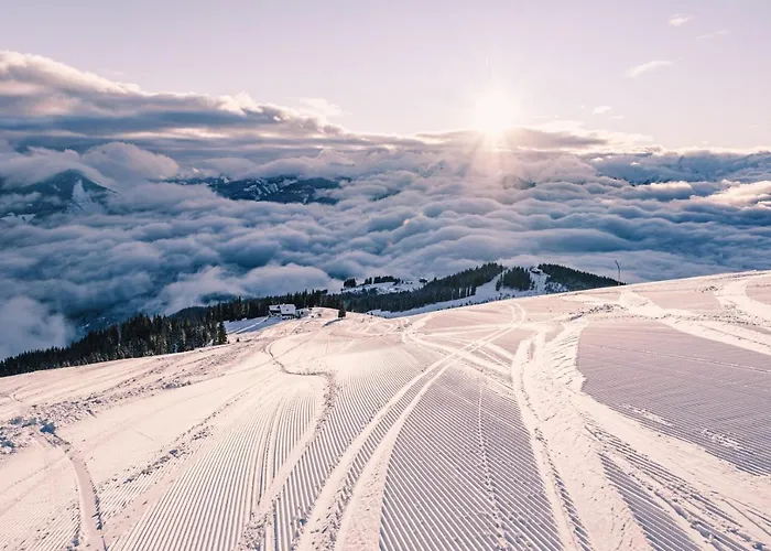 Max Panorama By We Rent *